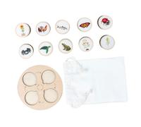 BESPORTBLE 1Set Cycle Puzzle Growth Models for Chicken Life Cycle Education Portable Easy to Learn