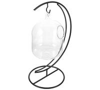 BESPORTBLE 1set Hanging Glass Fish Bowl with Desktop Betta Tank for Home Decor Transparent Planter for Indoor Spaces Stylish and Aquarium Display