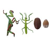 BESPORTBLE 1Set Mantis Growth Cycle Model Realistic Insect Life Cycle Figure for Educational for Storytelling Role Playing and Nature Exploration