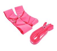 BESPORTBLE 1set Pet Harnesses and Leash Bowknot Collar Breathable Dog Chest Belt for Xl Dogs Traction Rope for Hot Walks