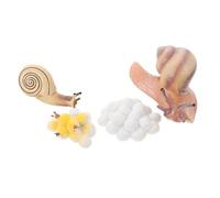 BESPORTBLE 1Set Realistic Snail Growth Model Educational Plastic Display Ornament for Cognitive for Learning Animal Growth Cycle for Home Classroom Decor