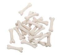 BESPORTBLE 20pcs Miniature Realistic Dog Toys Skeleton Bone Model for Diy Crafts Educational Decorations