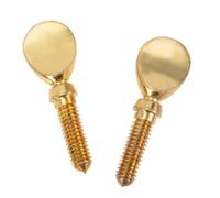 BESPORTBLE 2pcs Copper Flute Head Screws Replacement Flute Repairing Supplies Metal Accessories for B♭ and E♭ Saxophone Clarinet Mouthpiece Repair