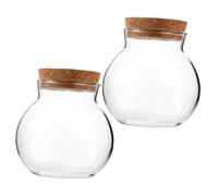 BESPORTBLE 2pcs Diy Micro Landscape Bottle Glass Storage Jars Lid for Indoor Plants