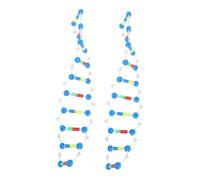 BESPORTBLE 2pcs Dna Structure Model Kit Double Helix Components Educational Tool for Teaching Genetics and Molecular Biology for Science Classes and Student Learning