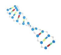 BESPORTBLE 2pcs Human Dna Learning Aids Double Helix Model Self Assembling Biology Teaching Tool for Students Educational Science Kit Biology Chemistry Engineering Classroom