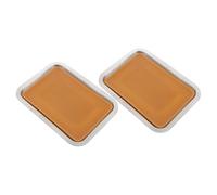 BESPORTBLE 2pcs Metal Dissection Tray for Biological Experiments Wax Dissecting Plate for Laboratories Practical and Safe Laboratory Organizer for Students and Educators