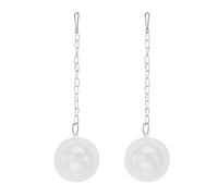 BESPORTBLE 2pcs Parrot Foraging Feeder Balls for Bird Cage, Practical Acrylic Feeding Dispensers, Easy to Hang Bird Cage Feeders, for Camping and Traveling with Your Pet
