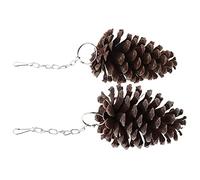BESPORTBLE 2pcs Pine Cone Bird Chewing Toy for Parrots Safe and Entertaining Hanging Accessory for Cockatiels Parakeets and Birds Chewing and Skill Development