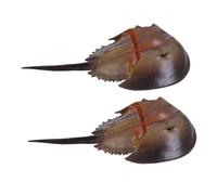 BESPORTBLE 2pcs Plastic Horseshoe Crab Realistic Ocean Figurines for Playset and Animal Collection Decor Vibrant Colors Indoor Outdoor Use