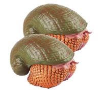 BESPORTBLE 2pcs Realistic Snail Figurines Educational Simulation Animal Models for Garden Decoration Sturdy Plastic Sea Animal with Vivid Colors and Lifelike