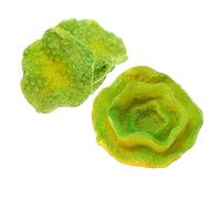 BESPORTBLE 2pcs Simulated Coral Ornament for Aquarium Realistic Underwater House Decor Hideout for Fish and Shrimp Vibrant Multi-color Decoration for Fish Tank and Home