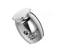 BESPORTBLE 2pcs Stainless Steel Pet Cinerary Casket Ash Storage Box for Dogs and Cats Elegant Silver Urn for Commemorating Beloved Pets and Fade-resistant Design