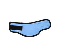 BESPORTBLE 2pcs Summer Pet Cooling Collar Fashionable Dog Bandana Cooling Towel Breathable Neck Scarf Heat-resistant Fabric