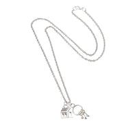 BESPORTBLE 2Pcs Zine Alloy House and Key Pendant Necklace Elegant Sweater Chains for Housewarming Any Outfit Sliver