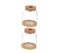 BESPORTBLE 2sets Hydroponic Glass Vase Water Propagation Vase for Indoor Plants Growing Modern Glass Flower Pot Bamboo Saucer for Desk Plant Display