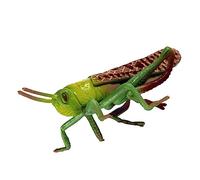 BESPORTBLE 3 pcs Plastic Realistic Imitation Insect Figurine for Educational Natural Science Learning Safe Play Model