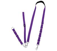 BESPORTBLE 3pcs Dog Beauty Table Grooming Loop Pet Bathing Leash Slip Rope for Pet Grooming Accessory
