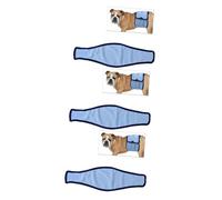 BESPORTBLE 3pcs Pet Dog Diaper Pants Washable Female Dog Physiological Shorts for Menstruation Xs for Untrained Puppies Protects Home from Urine and Odor