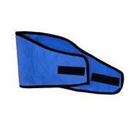 BESPORTBLE 3pcs Professional Dog Cooling Scarf Lightweight Pet Bandana for Self-cooling Breathable Design for Outdoor Adventures