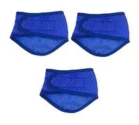 BESPORTBLE 3pcs Summer Cooling Bandana Dog Collar Pet Neck Cooler Dog Cool Pad Pet Supplies Puppy Collar Decor
