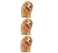 BESPORTBLE 3pcs Synthetic Hair Lion Mane Wig Dog Collar for Pets Festive Dog Accessories