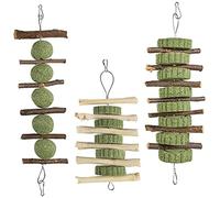 BESPORTBLE 3pcs Wooden Chew Toys for Pets Branch Teething Playthings for Hamsters and Guinea Pigs Safe and Biting Toys for Care