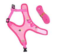BESPORTBLE 3sets Adorable Rooster Leash for Chickens Chicken Vest Rope for Outdoor Walks Suitable for Practical and Safe Design for Hens and