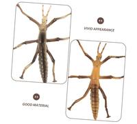 BESPORTBLE 4 Pcs Realistic Stick Insect Model Educational Insect Playset for Biology Learning for Cognitive Development and Natural Exploration