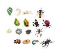 BESPORTBLE 4 Sets Insect Life Cycle Models for Educational Kit Realistic Butterfly Ladybug Antler Beetle Spider Figures for Early Childhood Learning and Nature Exploration