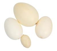 BESPORTBLE 4pcs Bird Eggs Model for Lifelike Simulation Speckled Eggs Assorted and Colors Lightweight Educational for Painting Practice and Easter Decorations