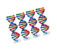 BESPORTBLE 4pcs Dna Learning Model Kit Double Helix Structure Biological Teaching Tool Human Gene Educational DIY Science Experiment for Classroom Supplies