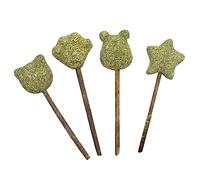 BESPORTBLE 4pcs Natural Catnip Lollipop for Cats Cat Treat Candy Lollipops Promoting Digestion