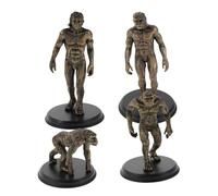 BESPORTBLE 4pcs Primitive Human Evolution Figures Plastic People Educational Models for Classroom and Home Use Childrens Cognition History Learning Prop