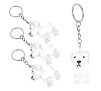BESPORTBLE 4Pcs Transparent Pet Hair Keepsake Capsule Keychain Dustproof Seal Memorial Box for Dog Storage Portable Organizer for Pet Owners Compact Memory Holder