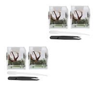 BESPORTBLE 4sets High Transparent Jumping Spider Habitat Box Small Insect Enclosure for Spiders Beetles and Crickets Carrier for Breeding and Transporting Small Pets