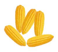 BESPORTBLE 5pcs Lifelike Artificial Corn Models Foam Simulation Props for Photography and Decoration Lightweight Compact Design for Cognitive Learning Farmhouse Decor