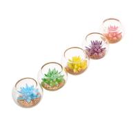 BESPORTBLE 5pcs Miniature Dollhouse Succulent Plants with Glass Pots Realistic Tiny Artificial Bonsai for DIY Micro Landscapes Desk Ornaments and Bookshelf Decorations in Red Yellow-green