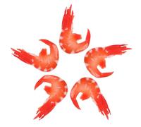 BESPORTBLE 5Pcs Simulation Shrimp Food Model Realistic Shrimp Ornaments for Early Education Restaurant Decor and Photography Prop