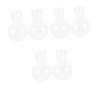 BESPORTBLE 6pcs Glass Planters for Indoor Plants Air Plant Terrariums Modern Home Decor Wall Vases for Flowers Watering Globes