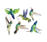 BESPORTBLE 6pcs Hummingbirds Wall Decals Bird Pattern Stickers for Bedroom and Living Window Decoration PVC Removable Wall Art for Smooth Surfaces Easy to Apply and Reposition