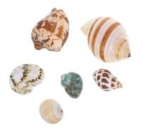 BESPORTBLE 6pcs Natural Seashells for Fish Tank Aquarium Decor Conch Shells Habitat Hides for Crabs Small Creatures Underwater Scenery Crafts for Diversity