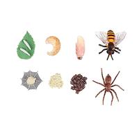 BESPORTBLE 8Pcs Bee Spider Life Cycle Model Educational Simulation Figures for Early Learning and Growth Cycle Theme Activities