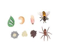 BESPORTBLE 8Pcs Educational Insect Evolution Model Display for Realistic Bee Spider Growth Cycle Simulation Ornaments for Storytelling Props and Learning Activities