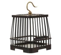 BESPORTBLE Cage for Grasshoppers Cricket Box Insect Catching Toy Outdoor Bug Trap Boys and Girls Learning Activity