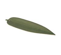 BESPORTBLE Ceramics Bamboo Leaf Incense Burner with Delicate Grain Design Smooth Surface for Easy Cleaning Green Ceramic Leaf Decor for Home Tearoom Meditation Yoga Sauna and Aromatherapy Use