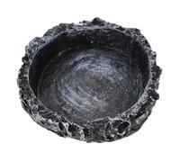 BESPORTBLE Crawling Pet Water Drinking Bowl Tortoise Lizard Dish Leopard Gecko Water Bowl Reptile Food and