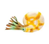 BESPORTBLE Creative Nautilus Animal Model for Realistic Ocean Creature Desktop Decor Educational Cognitive Plaything with Detailed Texture Learning and Home Display