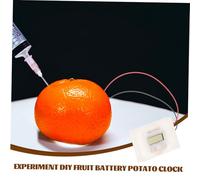 BESPORTBLE DIY Fruit Battery Science Kit for Students Safe Material Potato Clock Making Kit Educational Electronics Experiment to Enhance Hands Skills and Scientific Knowledge for Home and