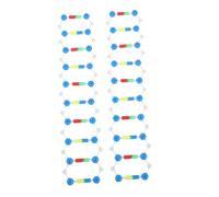 BESPORTBLE DNA Double Helix Model Kit for Students Educational Science Toy for Biology Class 2pcs Molecular Structure Components for Genetics Learning and Teaching